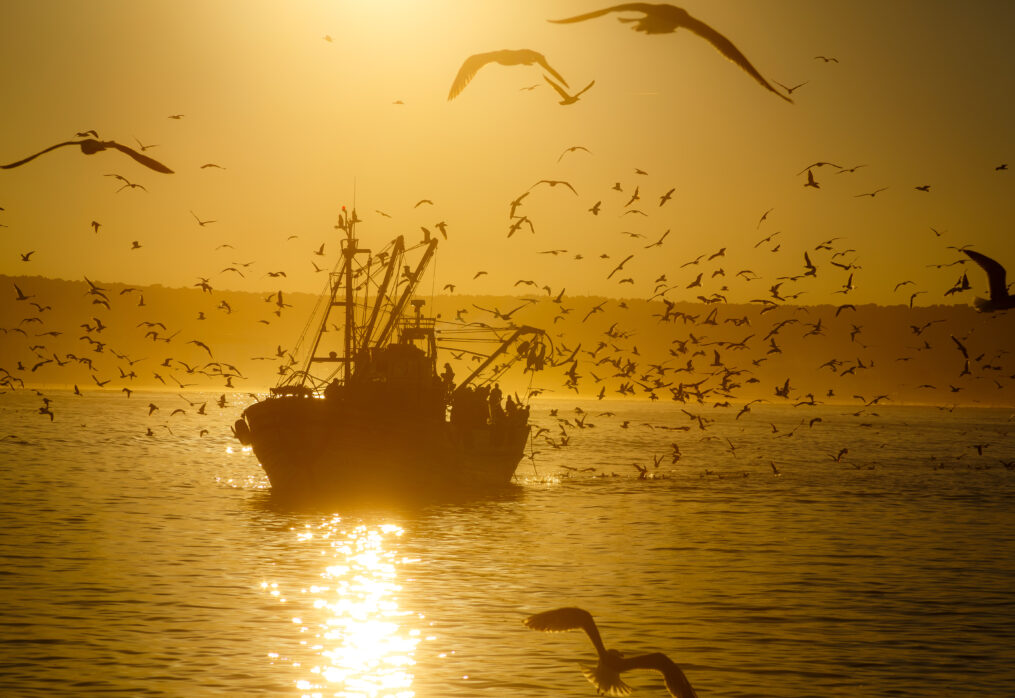 La pêche maritime au Maroc